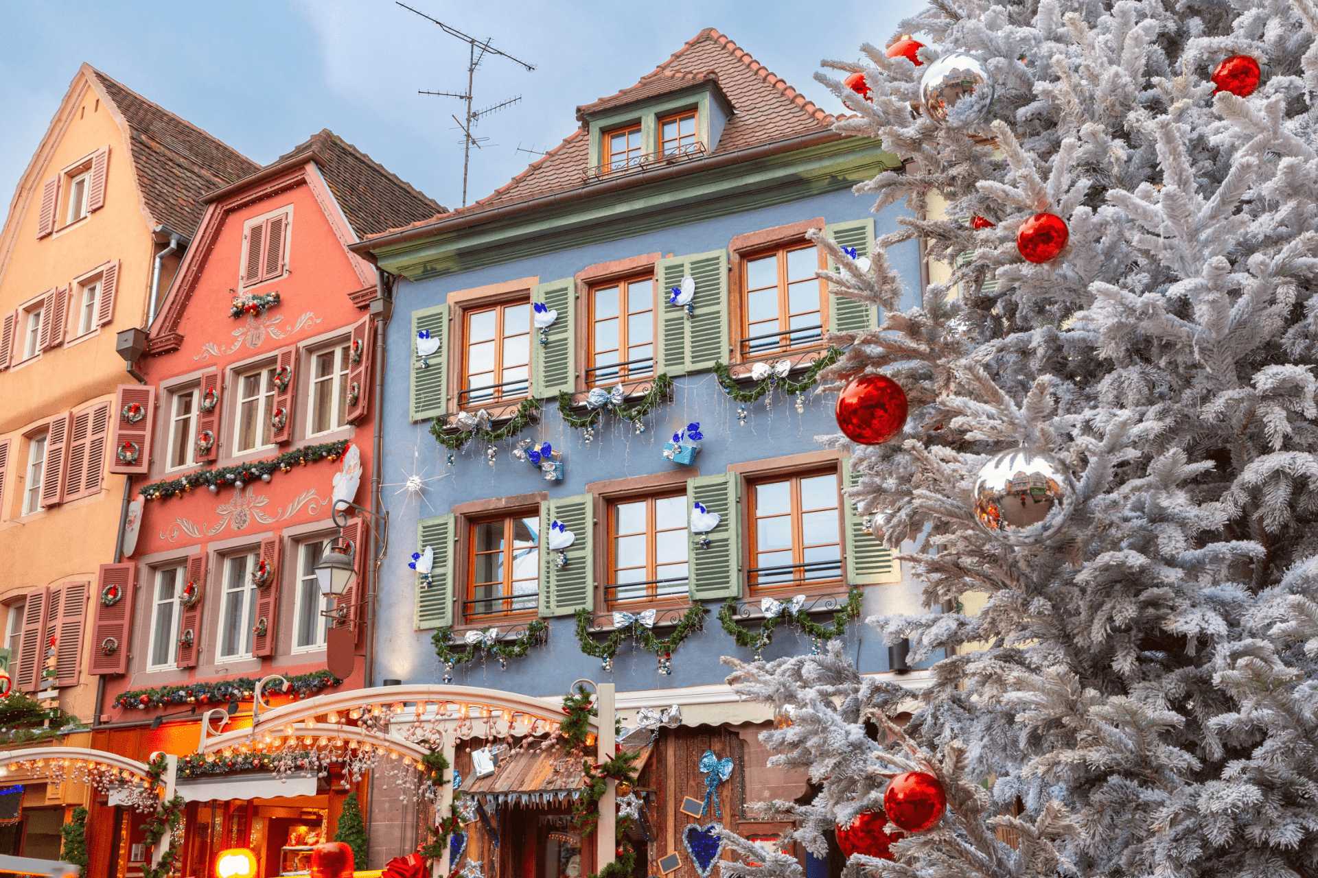 Special Αλσατία | Χριστούγεννα Πρωτοχρονιά Image