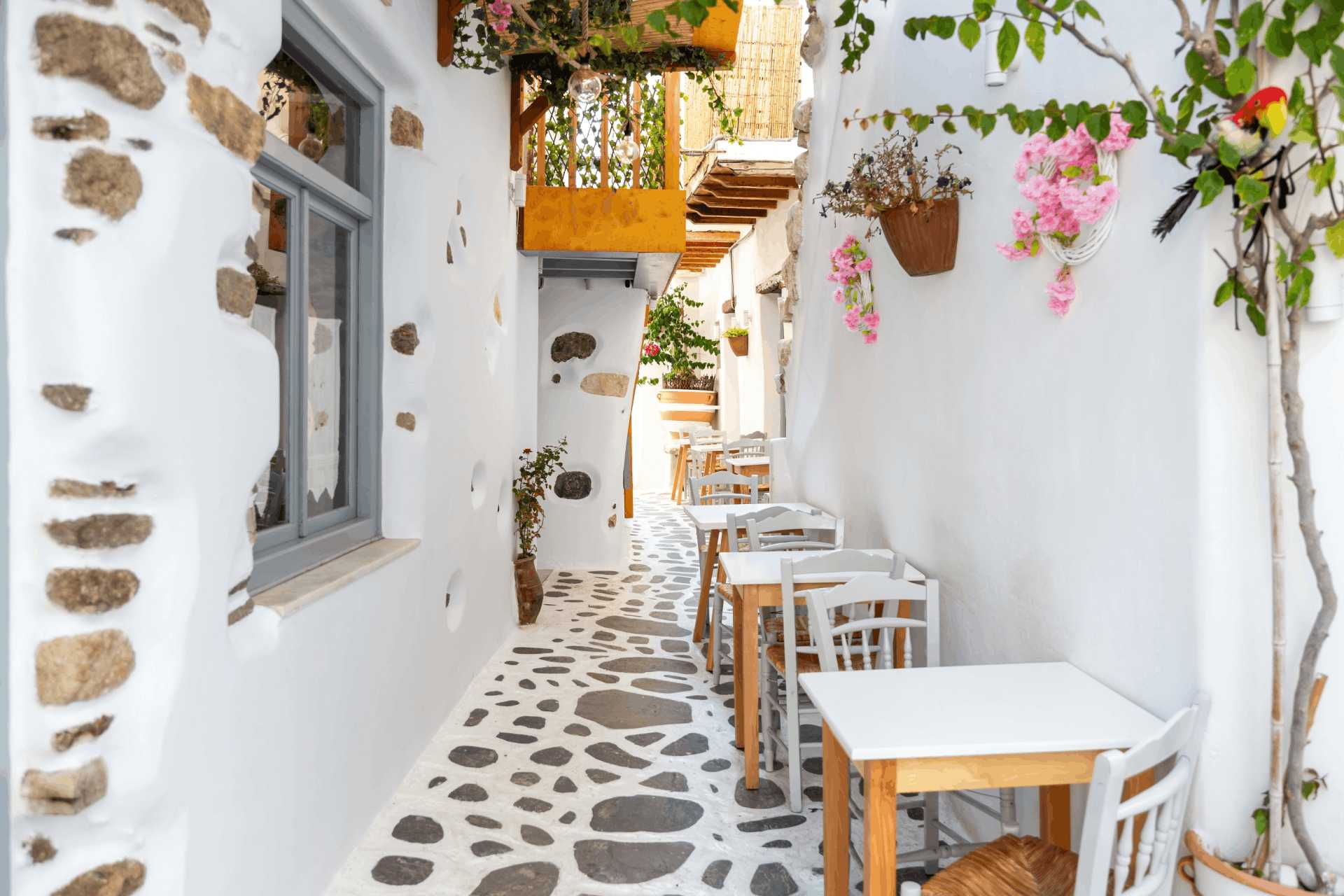 Νάξος | Cyclades bus | Καλοκαίρι Image