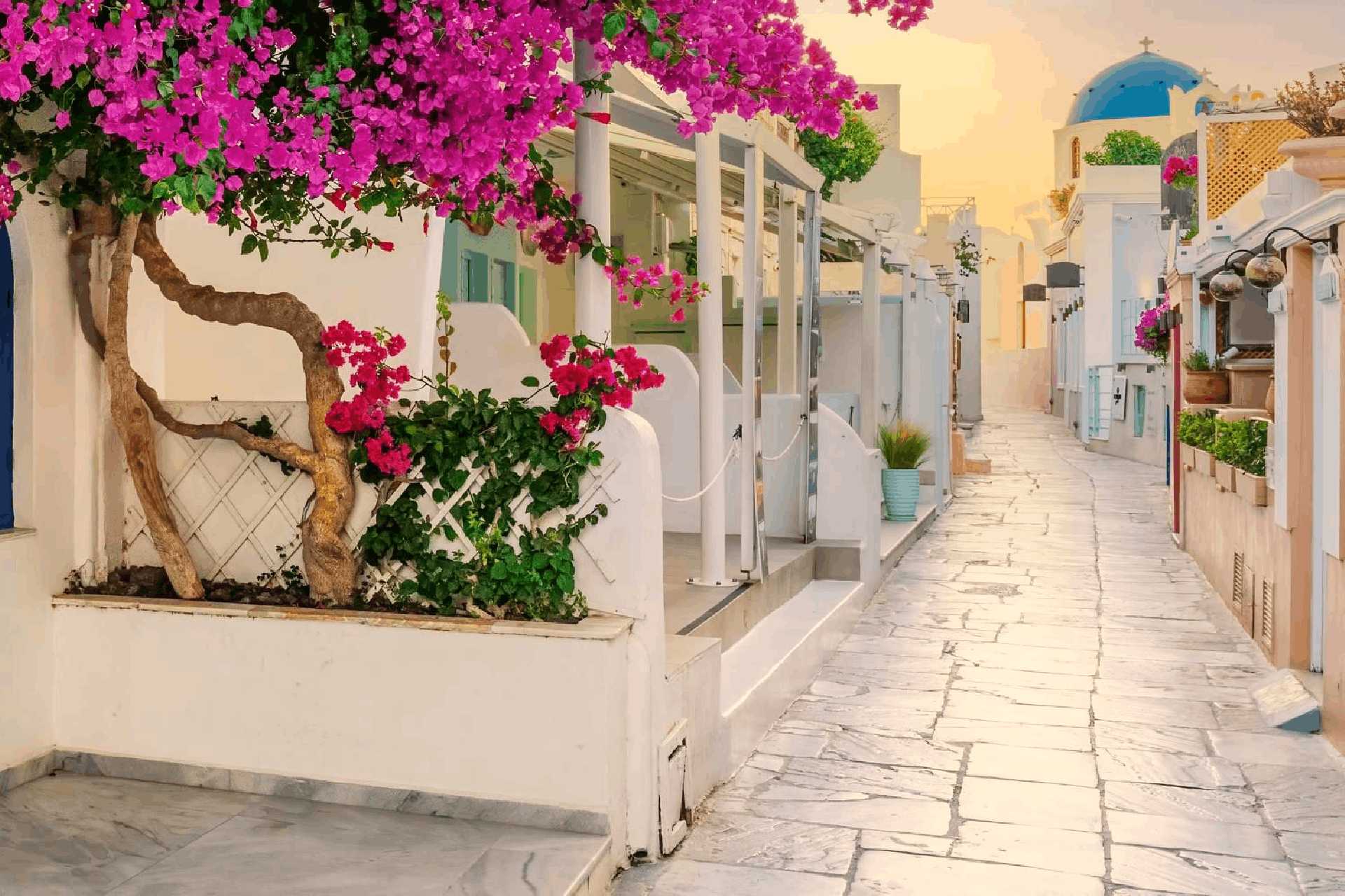 Λέρος (μέσω Κω) | Καλοκαίρι Image